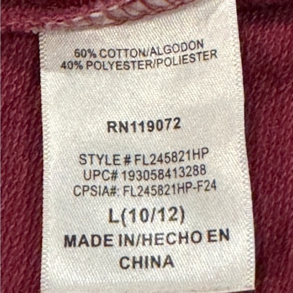 Disney’s Hocus Pocus Girl’s Halloween Long Sleeve Hooded Maroon Dress: L:10/12 - Picture 6 of 7